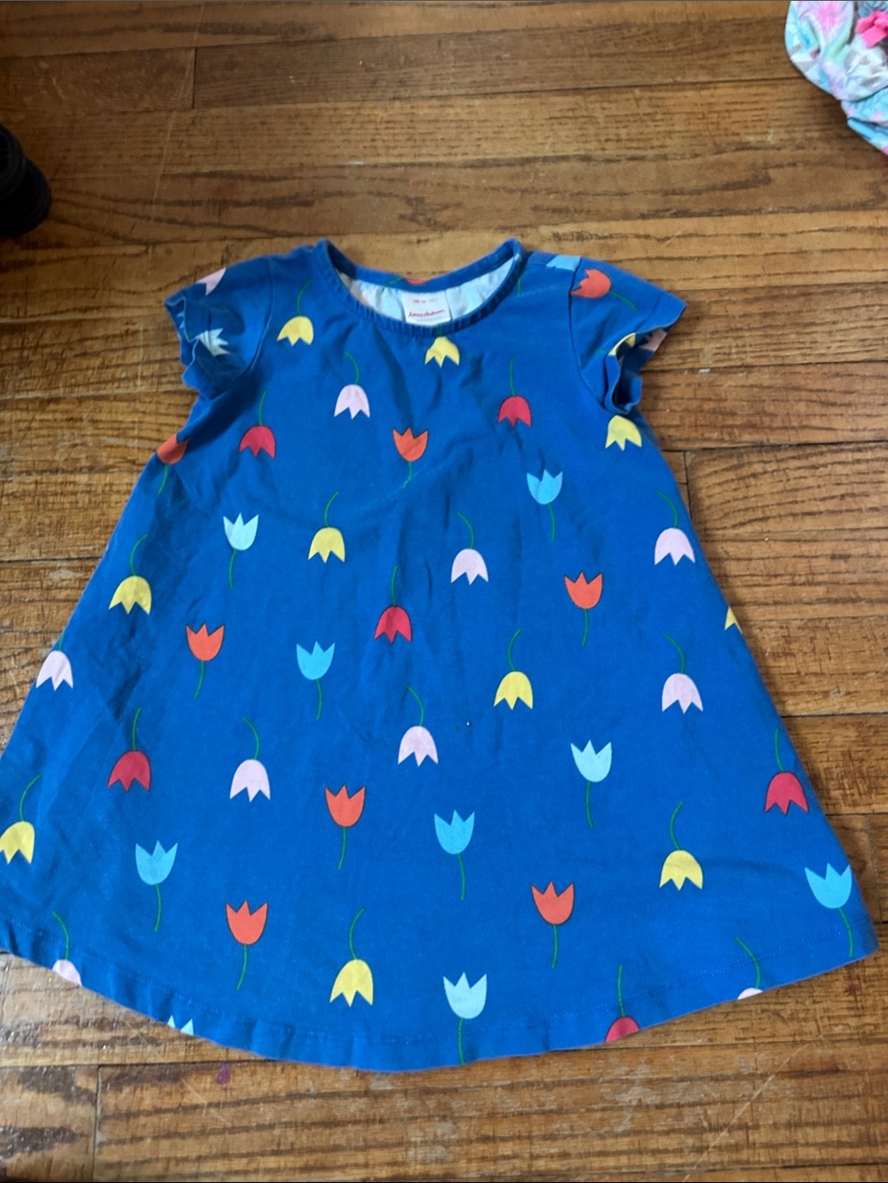 Hanna Andersson Blue Dress with Multicolor Floral Accents